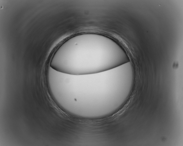 X0000100411458200806060914