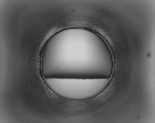 X0000100411459200806060914