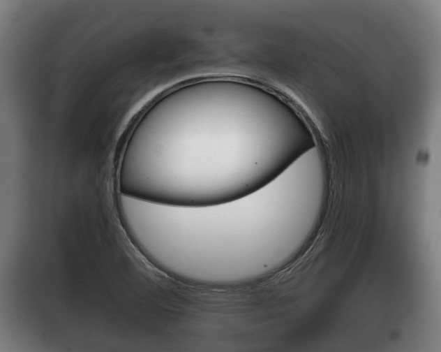 X0000100411460200806060914