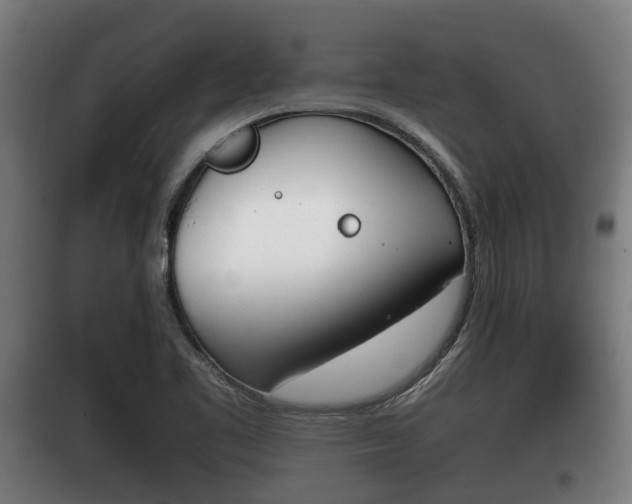 X0000100411461200806060914