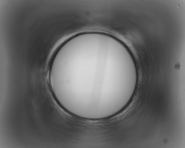 X0000100411462200806060914