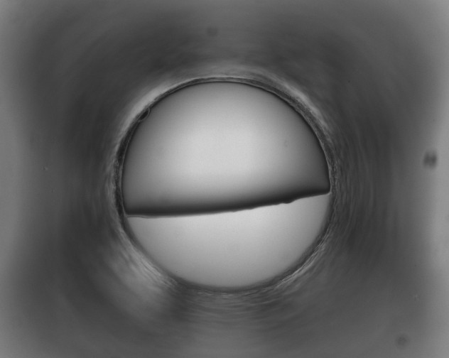 X0000100411463200806060914