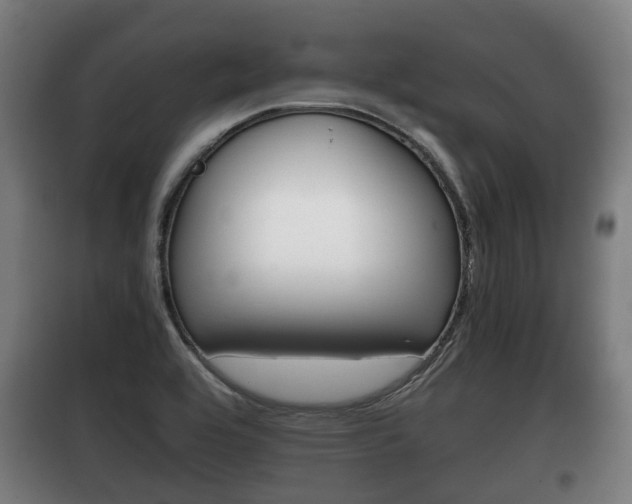 X0000100411464200806060914