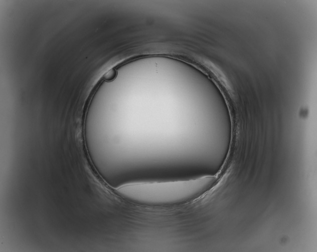 X0000100411465200806060914