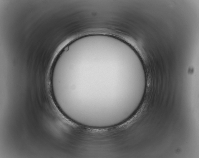 X0000100411466200806060914