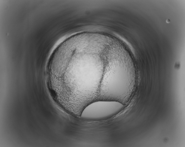 X0000100411467200806060914