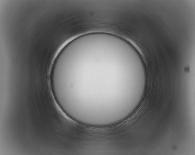 X0000100411468200806060914