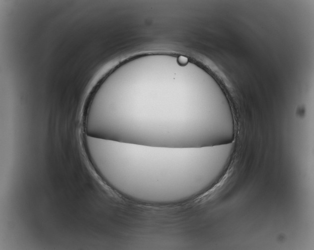 X0000100411469200806060914