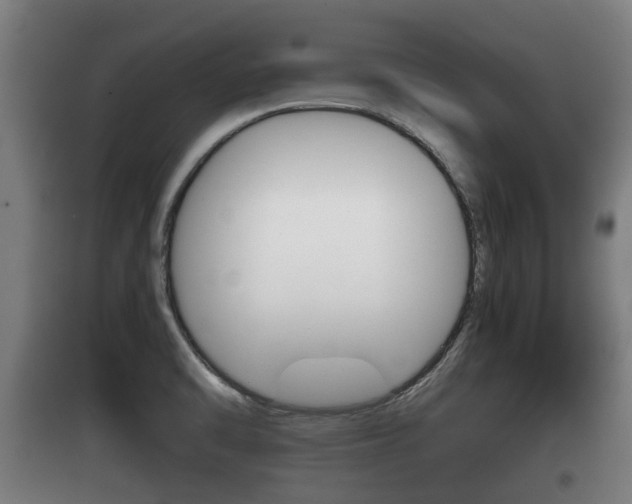 X0000100411470200806060914