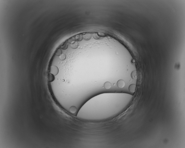 X0000100411471200806060914