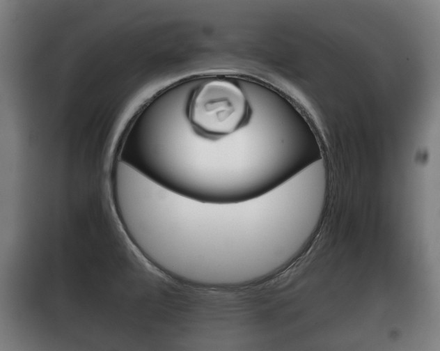 X0000100411472200806060914