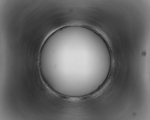 X0000100411473200806060914