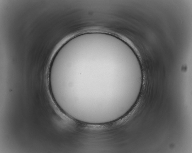 X0000100411474200806060914