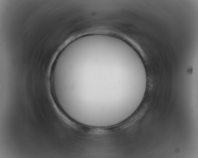 X0000100411475200806060914