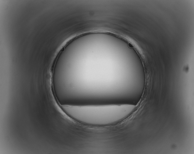 X0000100411476200806060914