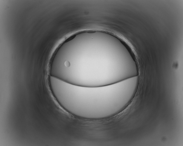 X0000100411477200806060914