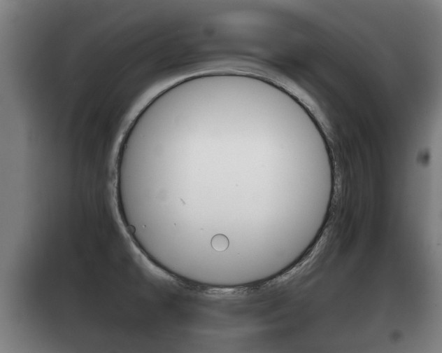 X0000100411478200806060914