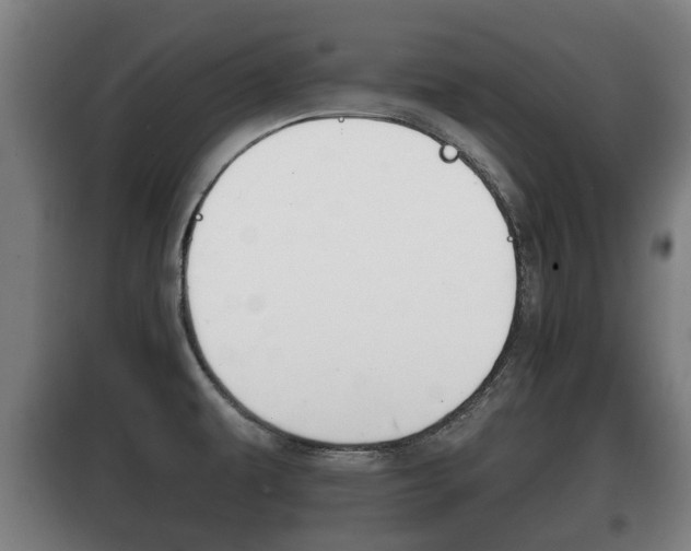 X0000100411479200806060914
