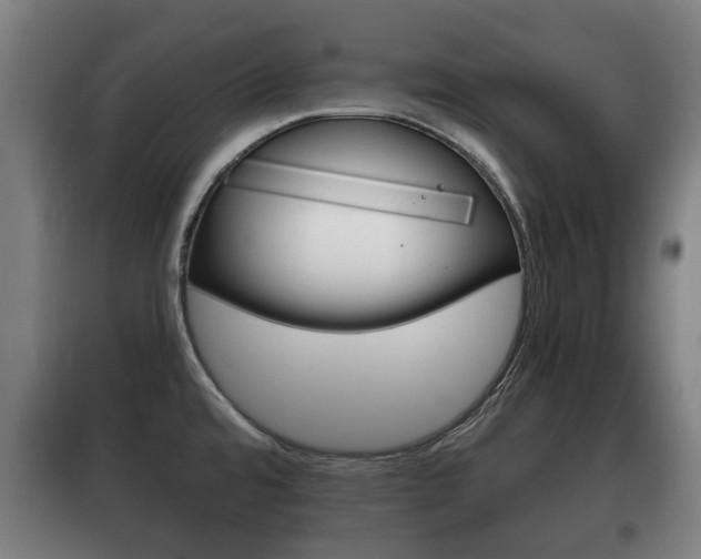 X0000100411480200806060914