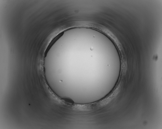 X0000100411481200806060914