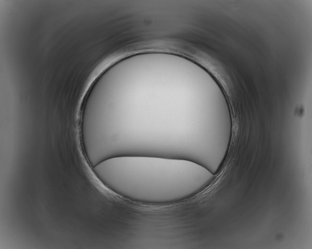 X0000100411482200806060914