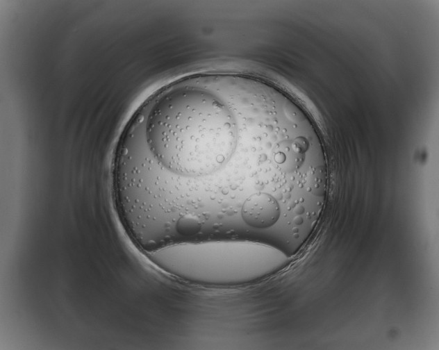 X0000100411483200806060914