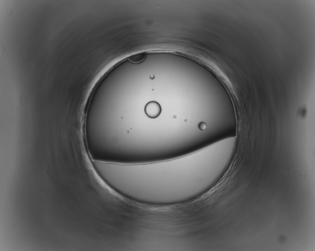 X0000100411484200806060914