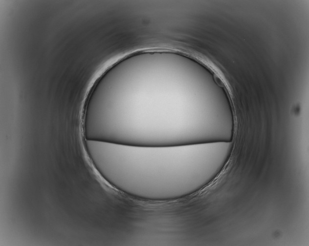 X0000100411485200806060914