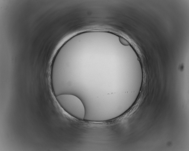 X0000100411486200806060914