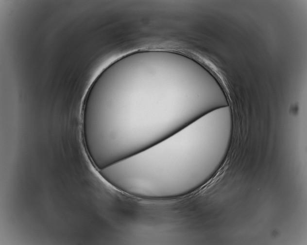 X0000100411487200806060914