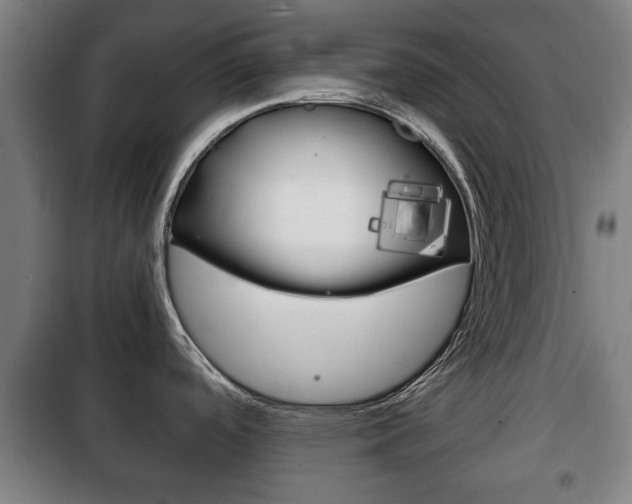 X0000100411488200806060914