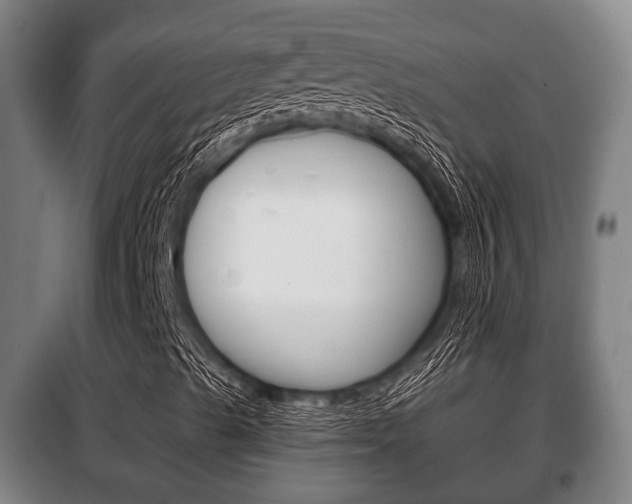 X0000100411489200806060913