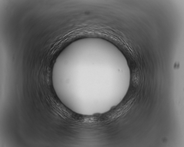 X0000100411490200806060913