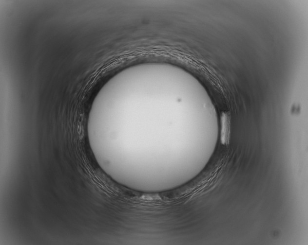 X0000100411491200806060913