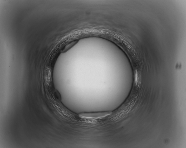 X0000100411492200806060913