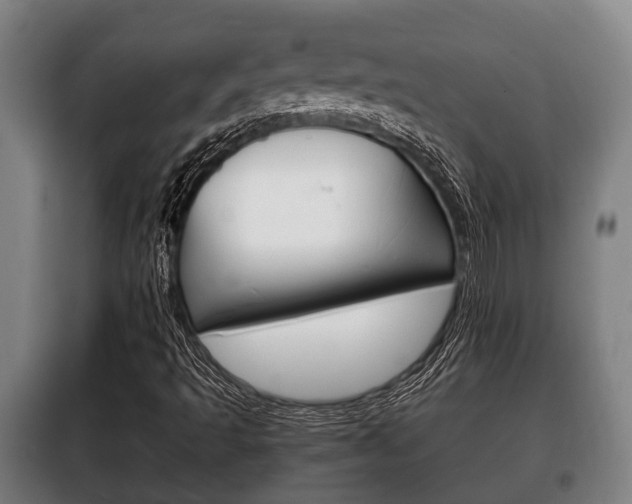 X0000100411493200806060913