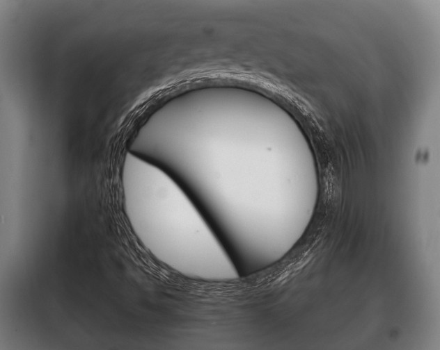 X0000100411494200806060913