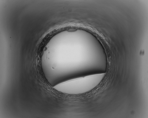 X0000100411495200806060913