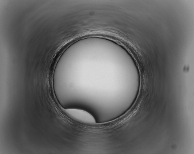 X0000100411497200806060913