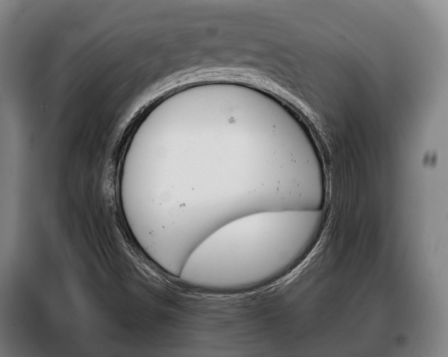 X0000100411498200806060913