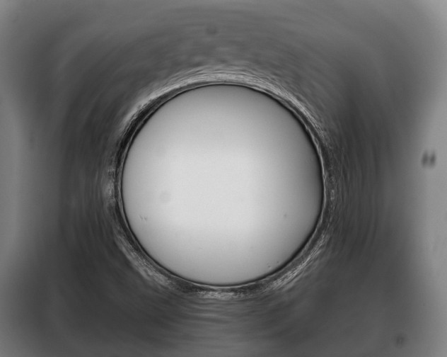 X0000100411499200806060913