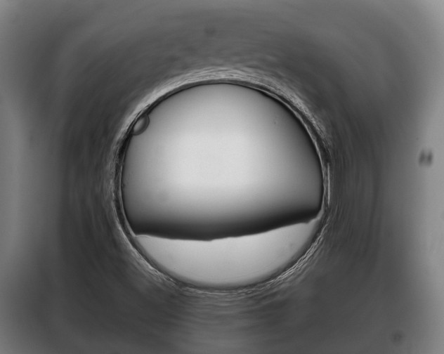 X0000100411500200806060913