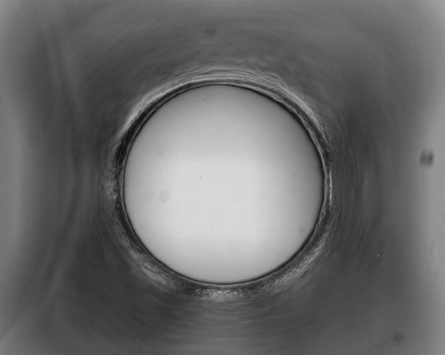 X0000100411501200806060913