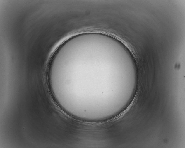 X0000100411502200806060913
