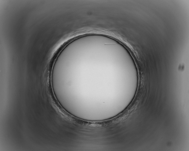 X0000100411503200806060913
