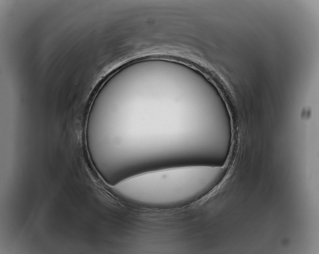 X0000100411505200806060913
