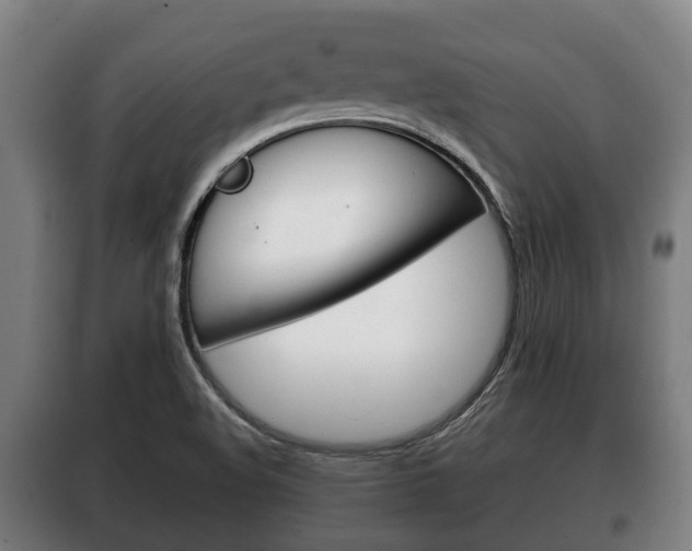 X0000100411508200806060913