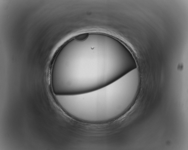 X0000100411510200806060913