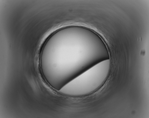 X0000100411511200806060914