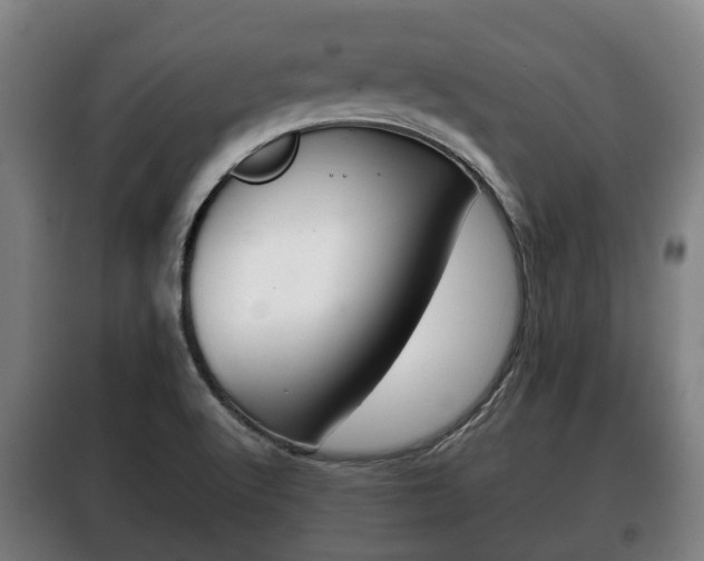X0000100411512200806060914